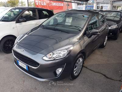 Ford Fiesta benzina gpl Grigio usata Treviglio