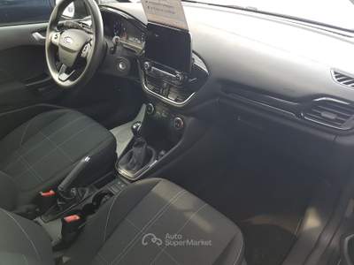 Ford Fiesta benzina gpl Grigio usata Treviglio