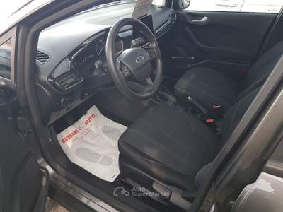 Ford Fiesta benzina gpl Grigio usata Treviglio