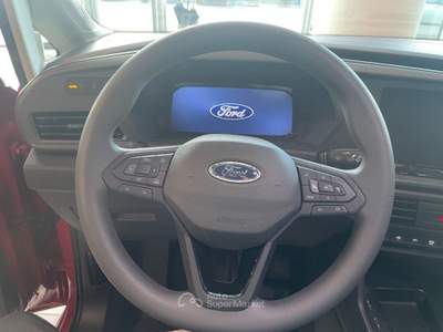 Ford Transit Connect 2.0 TD 102CV VAN PASSO LUNGO TREND Argento usata Alba