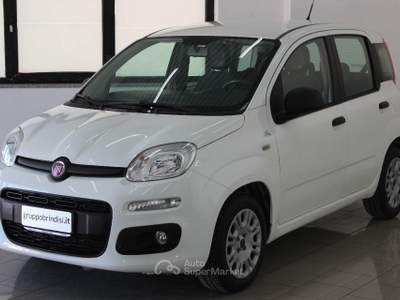 Fiat Panda  1.3 MJT 95 CV S&S Easy Bianco usata Potenza