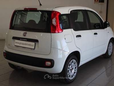 Fiat Panda  1.3 MJT 95 CV S&S Easy Bianco usata Potenza