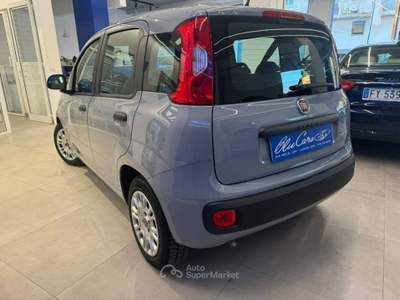 Fiat Panda 1.0 firefly hybrid s&s 70cv 5p.ti Grigio usata Licata