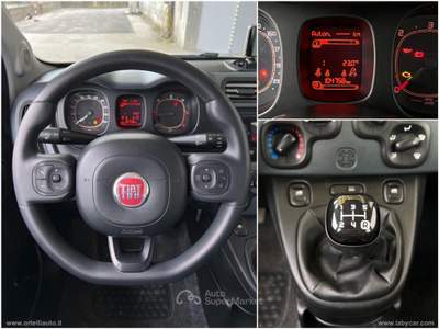 Fiat Panda Panda 1.3 MJT 95 CV S&S 4x4 IVA DEDUCIBILE Bianco usata Cerea