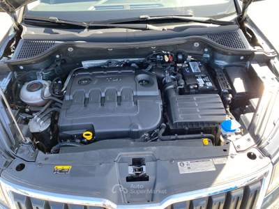 Skoda Karoq SCR DSG Ambition IVA ESPOSTA UNICO PROPIETARIO TAGLIANDI UFFICIALI SKODA Grigio usata Corato