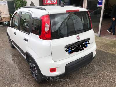 Fiat Panda Fiat Panda 1.0 Hybrid prezzo interessante usata Rovigo