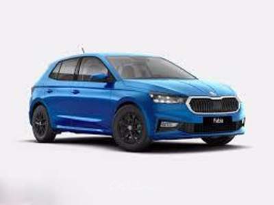 Skoda Fabia KMO Blu/Azzurro usata RIZZICONI