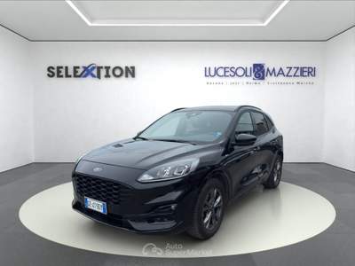 Ford Kuga  - kuga 1.5 ecoblue 120 cv 2wd st-line Nero usata Ancona