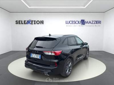 Ford Kuga  - kuga 1.5 ecoblue 120 cv 2wd st-line Nero usata Ancona