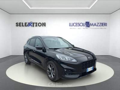 Ford Kuga  - kuga 1.5 ecoblue 120 cv 2wd st-line Nero usata Ancona