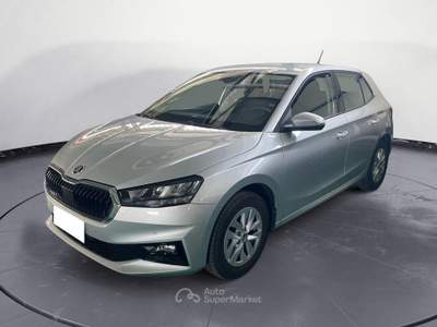 Skoda Fabia aziendale Argento usata RIZZICONI