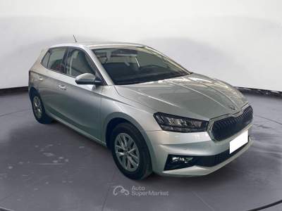 Skoda Fabia aziendale Argento usata RIZZICONI