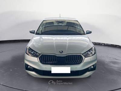 Skoda Fabia aziendale Argento usata RIZZICONI