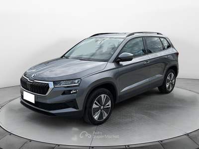 Skoda Karoq aziendale Grigio usata RIZZICONI
