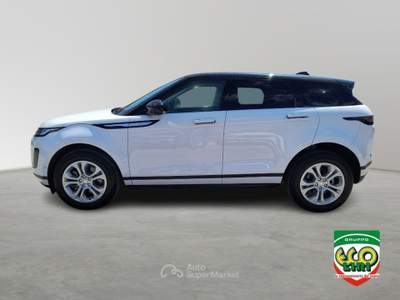 Land Rover Range Rover Evoque 1.5 I3 160 CV Auto R-Dynamic S Bianco usata Cassino