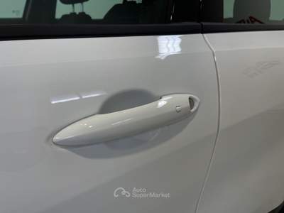 Alfa Romeo Tonale 1.6 diesel 130 CV TCT6 Sprint *PROMO tan 6,51* Bianco usata Sava