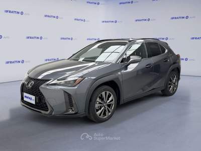 Lexus UX Ux Hybrid 4wd Design Grigio usata Cassola
