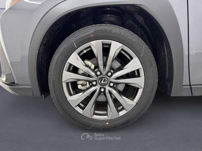Lexus UX Ux Hybrid 4wd Design Grigio usata Cassola