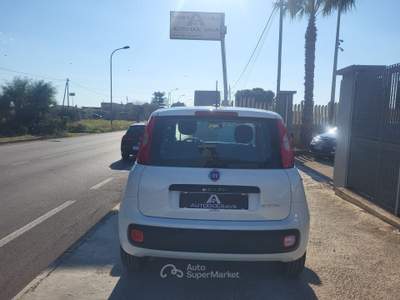 Fiat Panda 1.0 Hybrid Easy... Bianco usata Sava