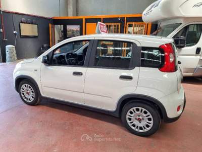 Fiat Panda New panda S&S Hibrid  Bianco usata Villar Focchiardo