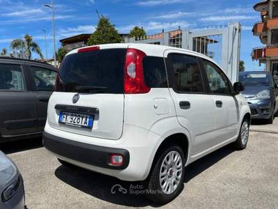 Fiat Panda 1.2 Lounge s&s 69cv my19 Bianco usata Villaricca