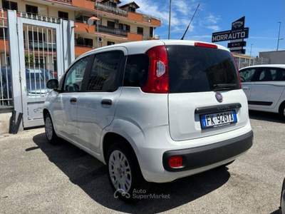 Fiat Panda 1.2 Lounge s&s 69cv my19 Bianco usata Villaricca