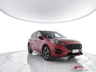 Ford Kuga 2.0 EcoBlue 190 CV aut. AWD ST-Line X Rosso usata Corciano