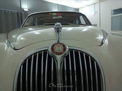 Jaguar XJ 3.8 Bianco usata Torino