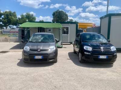 Fiat Panda Noleggio giornaliero Nero usata MODUGNO