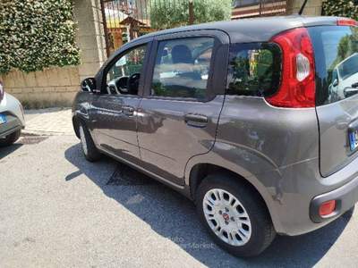 Fiat Panda Fiat Panda 1.2 easy benzina 2020 Grigio usata Roccapiemonte
