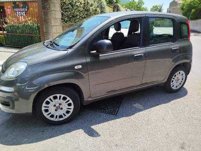 Fiat Panda Fiat Panda 1.2 easy benzina 2020 Grigio usata Roccapiemonte
