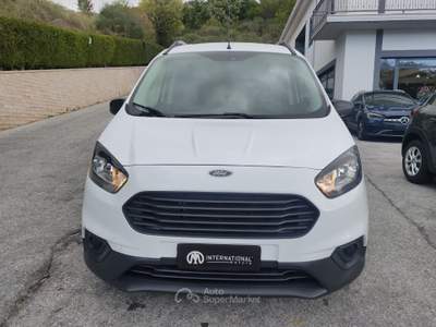 Ford Transit Courier Transit Courier 1.0 EcoB. 100 Van Entry Bianco usata Agnone
