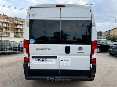 Fiat Ducato Ducato 30 2.3 MJT 150CV TRASPORTO DISABILE Bianco usata Caltagirone