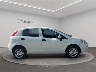 Fiat Punto 5p 1.4 natural power Street 70cv E6 Bianco usata Civitanova Marche