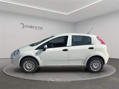 Fiat Punto 5p 1.4 natural power Street 70cv E6 Bianco usata Civitanova Marche