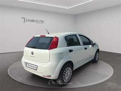 Fiat Punto 5p 1.4 natural power Street 70cv E6 Bianco usata Civitanova Marche