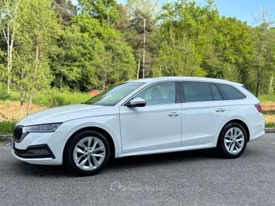 Skoda Octavia Auto in buone condizioni usata Faloppio