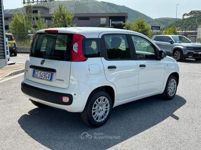 Fiat Panda 1.0 FireFly S&S Hybrid Pandina Bianco usata Lauria