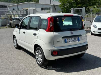 Fiat Panda 1.0 FireFly S&S Hybrid Pandina Bianco usata Lauria