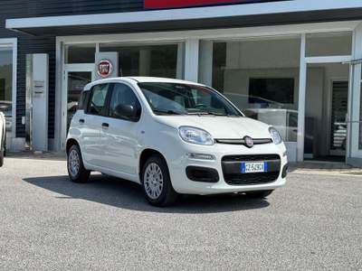 Fiat Panda 1.0 FireFly S&S Hybrid Pandina Bianco usata Lauria