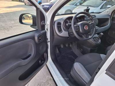 Fiat Panda FireFly S&S Hybrid City Life - 2021 Bianco usata ANDRIA