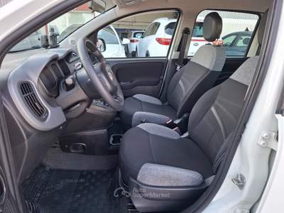 Fiat Panda FireFly S&S Hybrid City Life - 2021 Bianco usata ANDRIA
