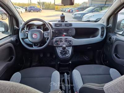 Fiat Panda FireFly S&S Hybrid City Life - 2021 Bianco usata ANDRIA