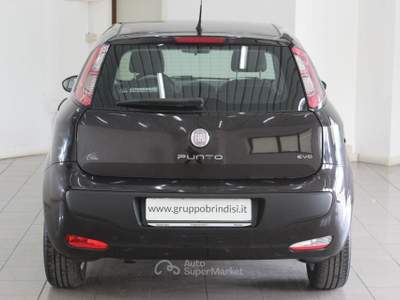 Fiat Punto Evo 1.3 Mjt 95CV DPF 5p. S&S Dyn. Nero usata Potenza