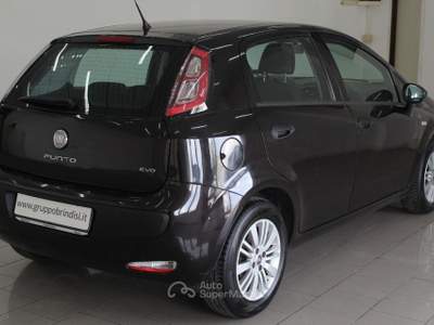 Fiat Punto Evo 1.3 Mjt 95CV DPF 5p. S&S Dyn. Nero usata Potenza