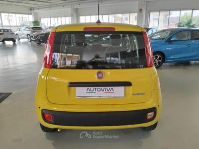 Fiat Panda 1.0 FireFly S&S Hybrid MY25 Giallo usata Riva presso Chieri