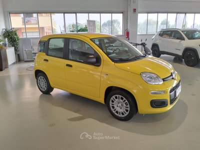 Fiat Panda 1.0 FireFly S&S Hybrid MY25 Giallo usata Riva presso Chieri
