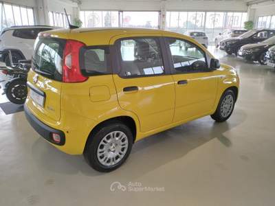 Fiat Panda 1.0 FireFly S&S Hybrid MY25 Giallo usata Riva presso Chieri