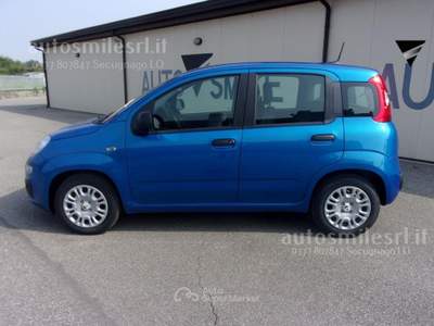 Fiat Panda 1.0 FireFly S&S Hybrid Blu/Azzurro usata SECUGNAGO