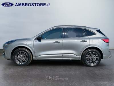 Ford Kuga  - kuga 2.5 phev st-line x 2wd 225cv cvt Marrone usata Segrate